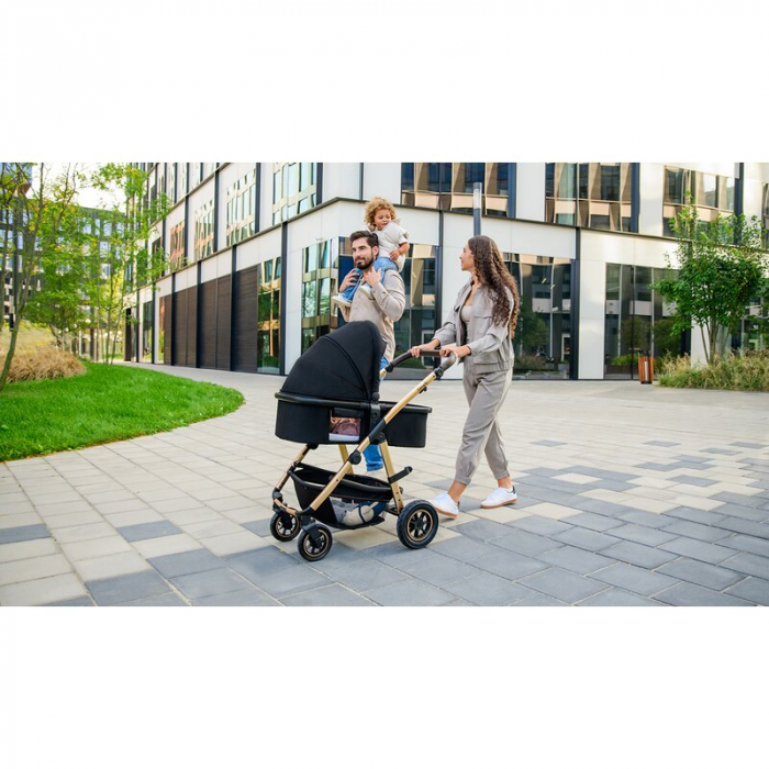 Carucior 3 in 1 Lionelo Amber cadru aluminiu Negru [69]