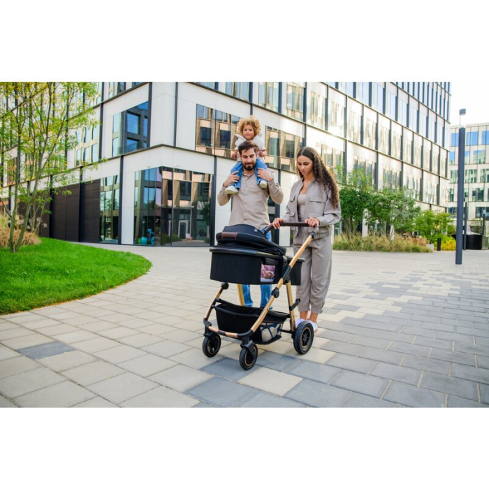 Carucior compact Amber 3 in 1 - Lionelo [56]
