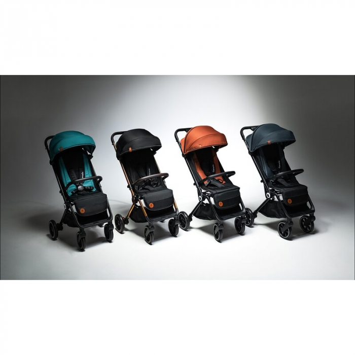 Carucior sport Cloe cu accesorii - Lionelo [55]