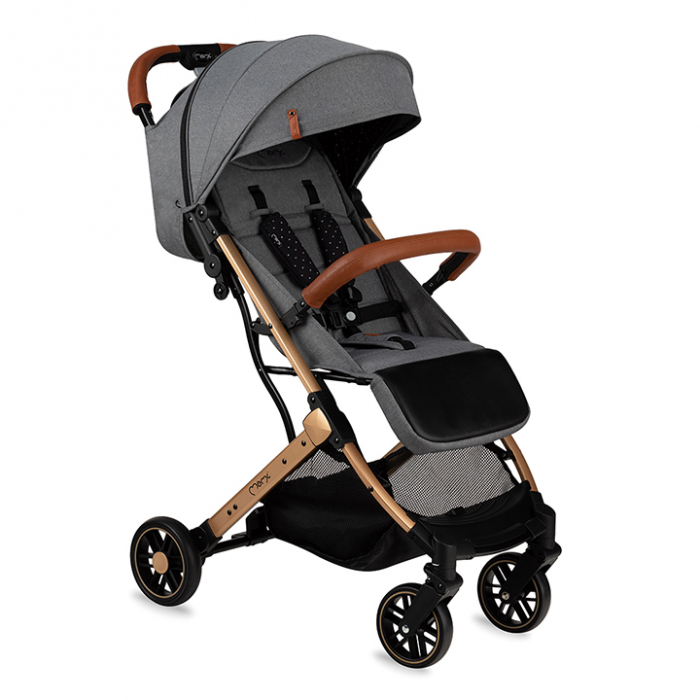 Carucior sport Estelle Momi Gold [1]