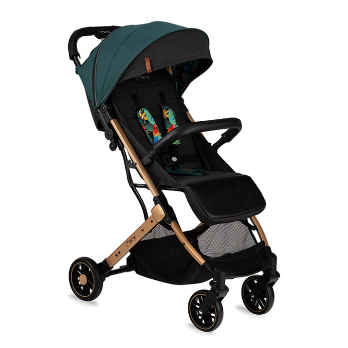 Carucior sport Estelle Momi Gold [1]