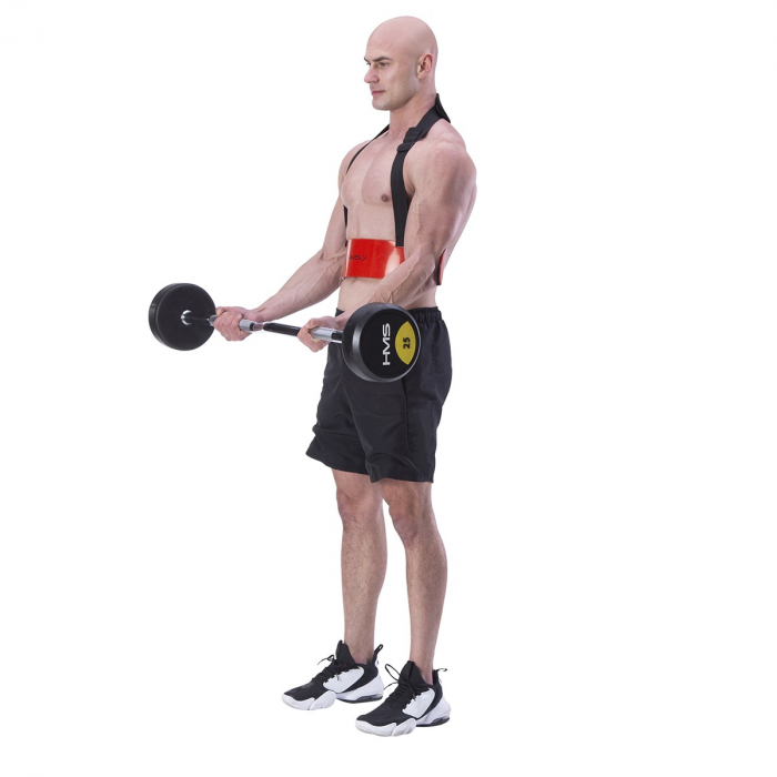 Ham biceps HMS ABX02 [3]