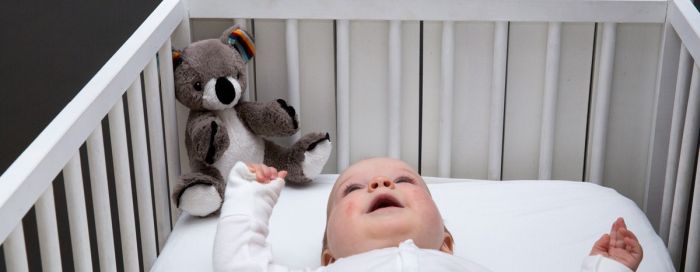 Jucarie Muzicala Zazu Kids Coco [2]