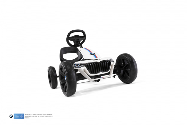 Kart Berg Reppy BMW [3]