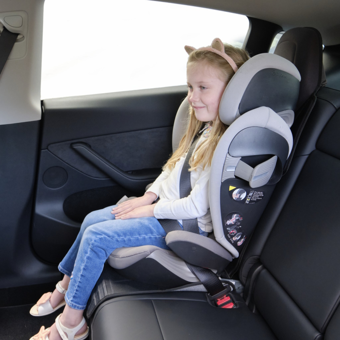 Protectie Bancheta Auto pentru Tesla Neutral [3]