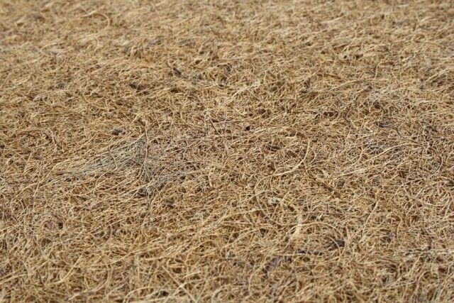 Saltea cocos Confort 140x70x12 (cm) [3]