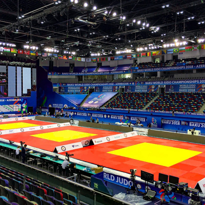 Saltea Judo Taishan 200 x 100 x 5 cm, Galben [6]