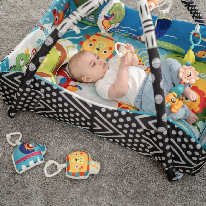 Salteluta interactiva, Lionelo, Anika, cu jucarii, Oglinda, Perna,  Multicolor [17]