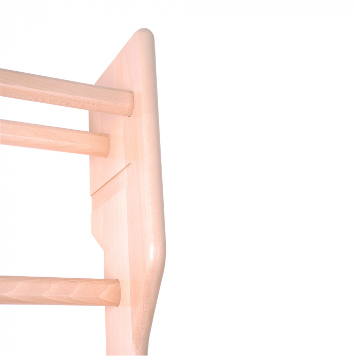 Scara gimnastica inSPORTline Dremar 200 x 80 cm [16]