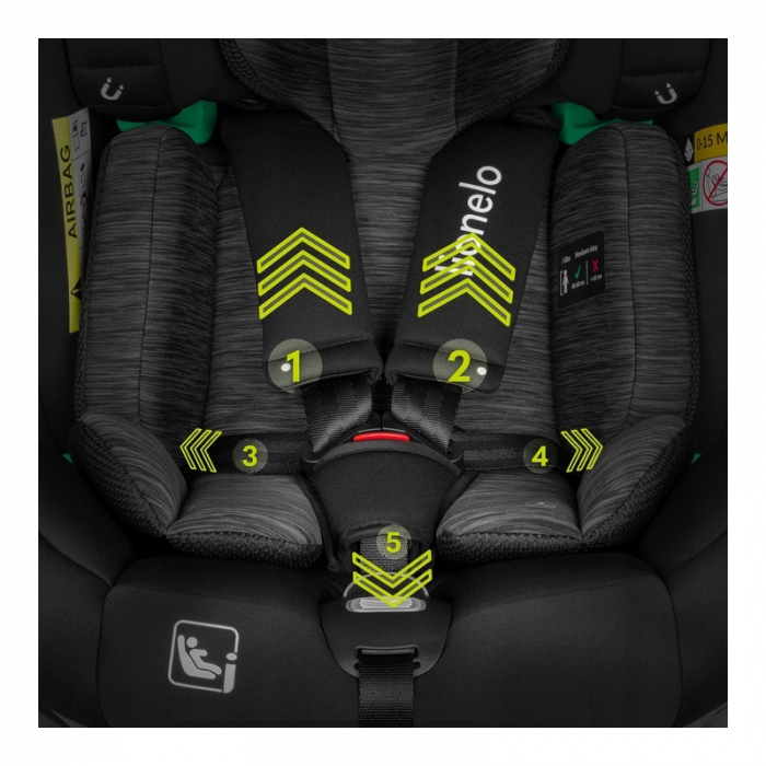 Scaun auto Lionelo i-Size Braam 0-36 Kg isofix si picior de fixare [10]