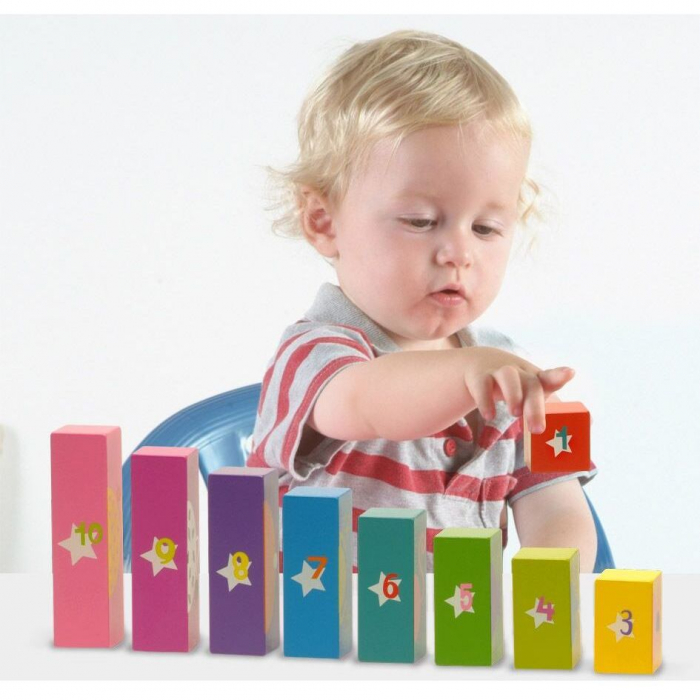 Set Sorteaza si Scutura - Sort N Shake Fiesta Crafts FCT-2397 [5]