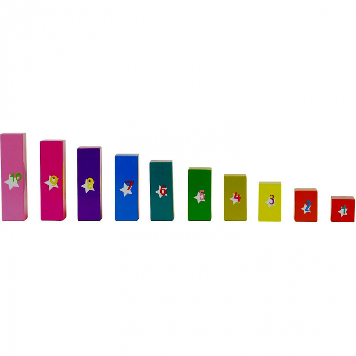 Set Sorteaza si Scutura - Sort N Shake Fiesta Crafts FCT-2397 [8]