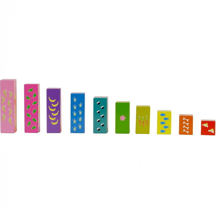 Set Sorteaza si Scutura - Sort N Shake Fiesta Crafts FCT-2397 [7]