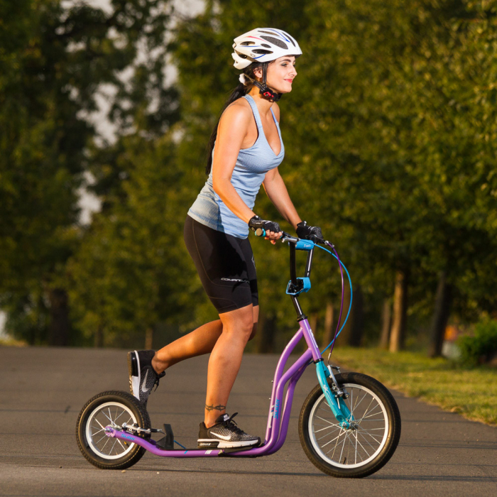 Trotineta inSPORTline Suter SE Verde [5]