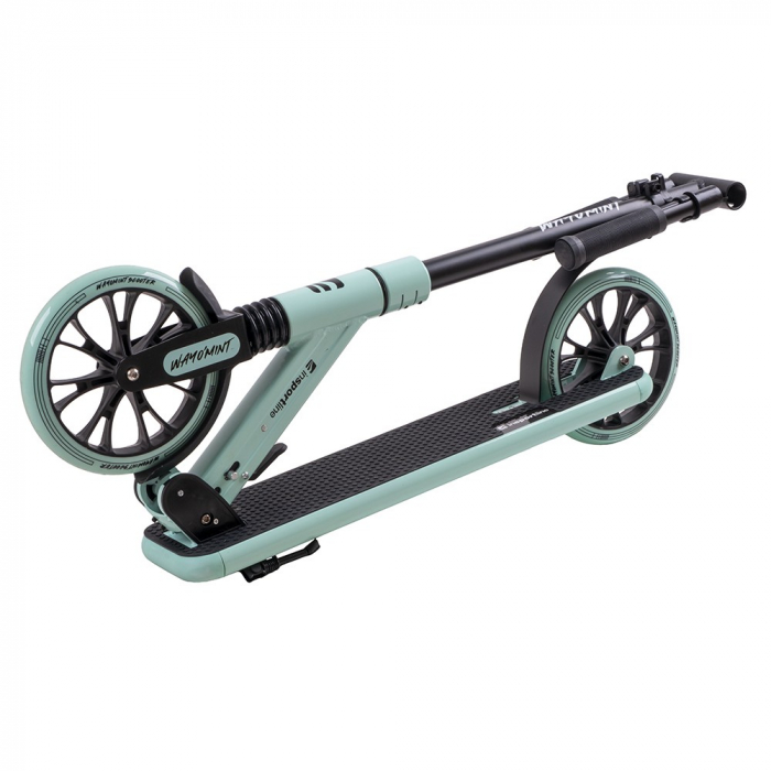 Trotineta inSPORTline Wayomint [3]