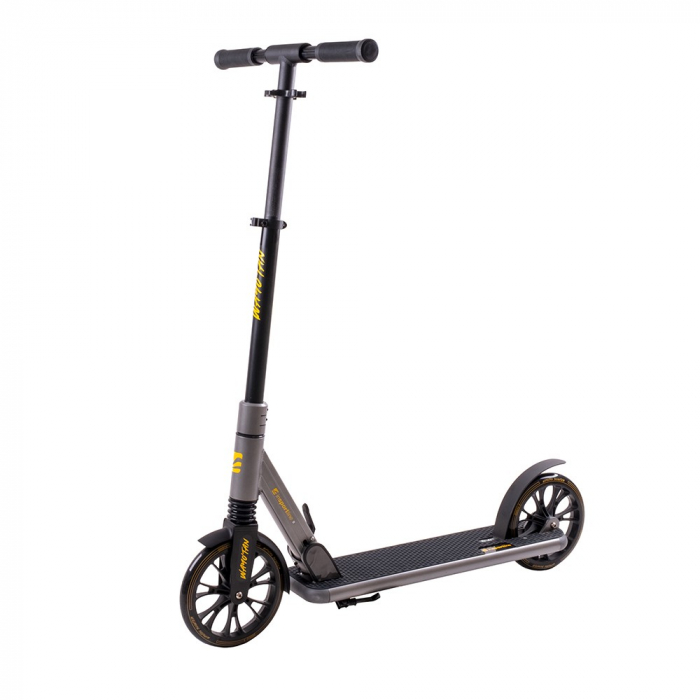 Trotineta inSPORTline Wayotan [2]