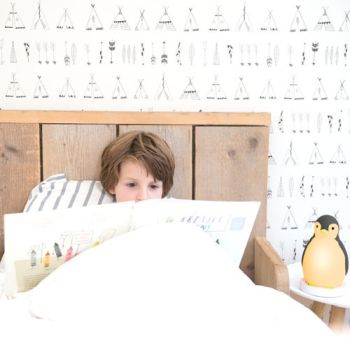 Antrenor de Somn Zazu Kids Pam Roz [1]