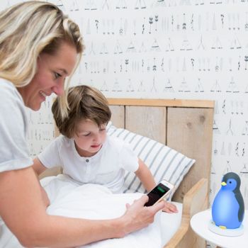 Antrenor de Somn Zazu Kids Pam Roz [2]