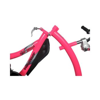 Bicicleta Co-Pilot Roz WeeRide WR06PK [5]