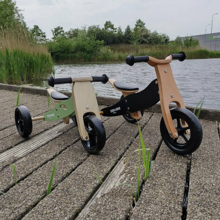 Bicicleta/tricicleta fara pedale, Free2Move, din lemn, 2 in 1, Functie de bicicleta echilibru, Scaun reglabil, Roti ajustabile, Manere antiderapante, Varsta 1-3 ani, Mint [12]