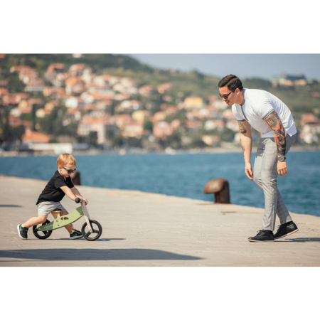 Bicicleta/tricicleta fara pedale, Free2Move, din lemn, 2 in 1, Functie de bicicleta echilibru, Scaun reglabil, Roti ajustabile, Manere antiderapante, Varsta 1-3 ani, Mint [10]