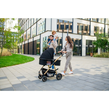 Carucior compact Amber 3 in 1 - Lionelo [34]