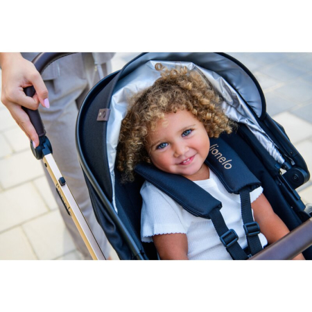 Carucior compact Amber 3 in 1 - Lionelo [66]