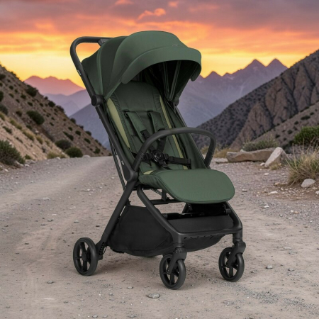 Carucior sport, Jane, Clap 3, Sistem compact de pliere, Cadru din aluminium, De la nastere pana la 26Kg, Conform cu standardul european EN 1888-2:2018+A1:2023, Botanic [3]