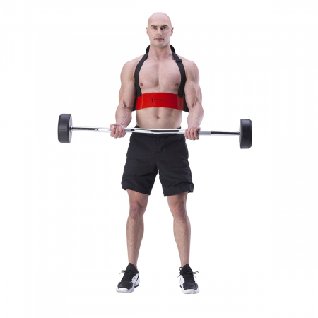 Ham biceps HMS ABX02 [1]