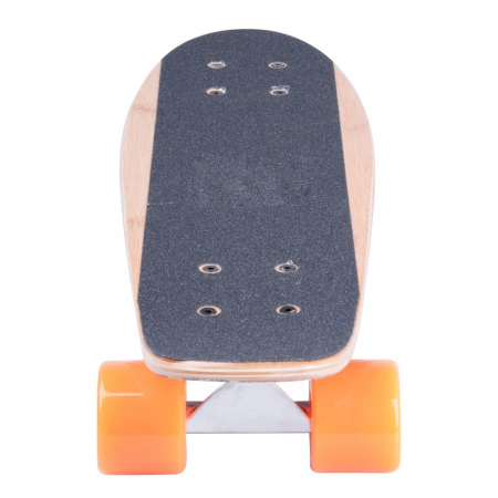 Penny board WORKER Bambo 22'' model 2016 [1]