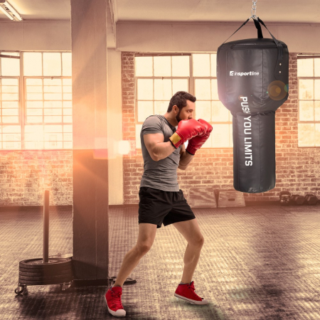 Sac de Box MMA inSPORTline Konor [2]