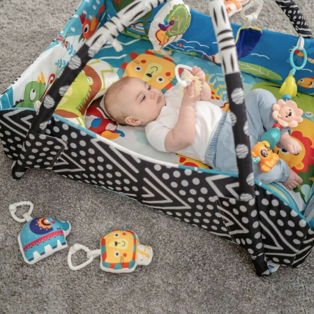 Salteluta interactiva, Lionelo, Anika, cu jucarii, Oglinda, Perna,  Multicolor [16]