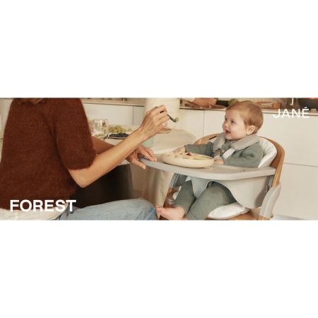 Scaun de masa multifunctional pliabil, Jane, Forest, De la 6 luni la adult, Din lemn fag, Greutate maxima 100 Kg, Mist [6]