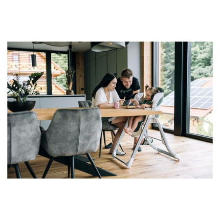 Scaun de masa si balansoar, FreeON, Oli Deluxe, 2 in 1, Transformabil, Multifunctional, cu melodii de leagan, 0 luni+, Beige [17]