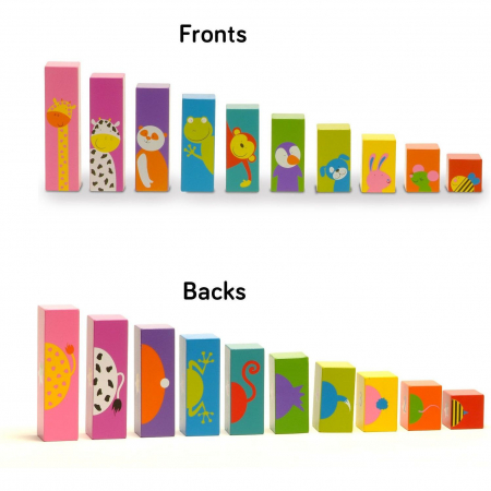 Set Sorteaza si Scutura - Sort N Shake Fiesta Crafts FCT-2397 [2]