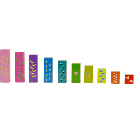 Set Sorteaza si Scutura - Sort N Shake Fiesta Crafts FCT-2397 [6]