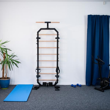 Spalier gimnastica HMS DW2708 [3]