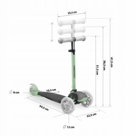 Trotineta cu roti cu LED Ricokids Loco [6]