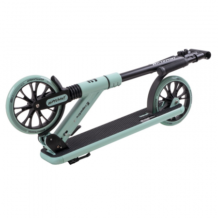 Trotineta inSPORTline Wayomint [2]