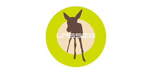 Lassig