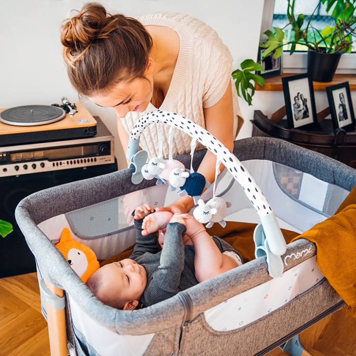 Arcada de jucarii, Momi Joy [2]