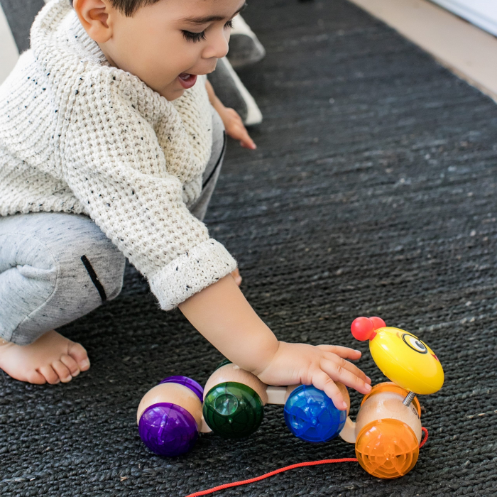 Baby Einstein – Jucarie din lemn Hape Inch Along Cal™ [2]