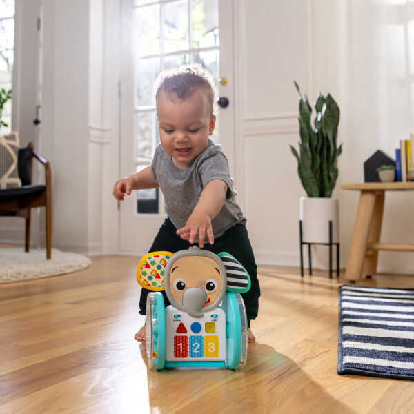 Baby Einstein - Jucarie interactiva, "Chase & Tap Earl" [2]