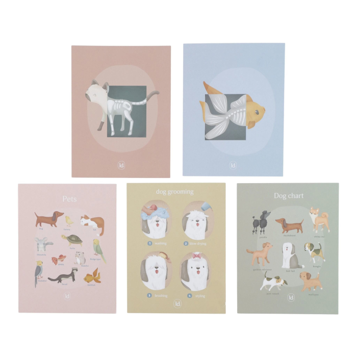 Cabinet veterinar din lemn, cu accesorii incluse LITTLE DUTCH - LD2546 [5]