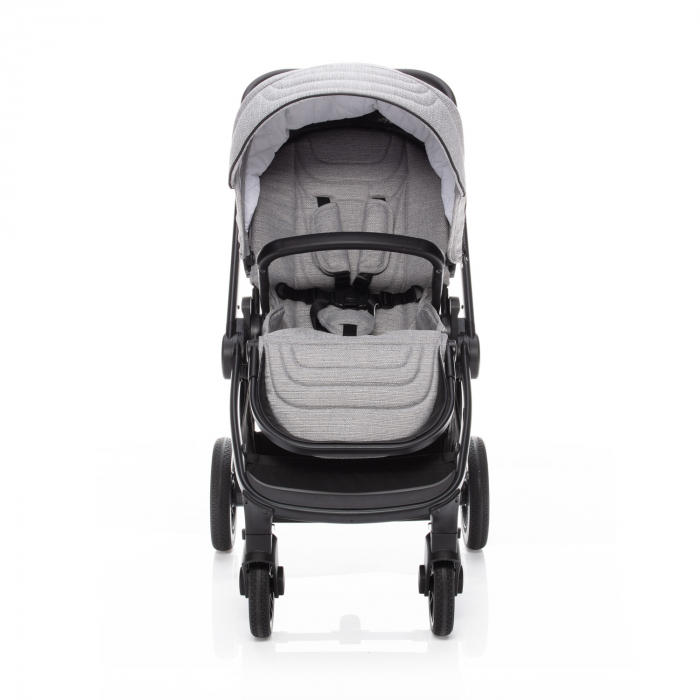 Carucior 2 in 1 Move Silver Grey/Black [4]