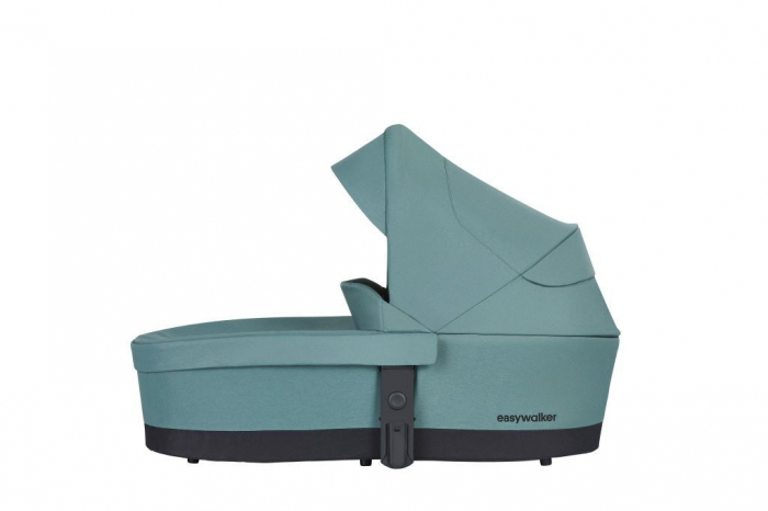 Carucior 2 in 1 Rudey Forest Green [4]