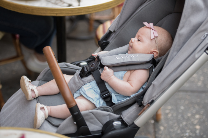 Carucior compact Triv Frost [4]