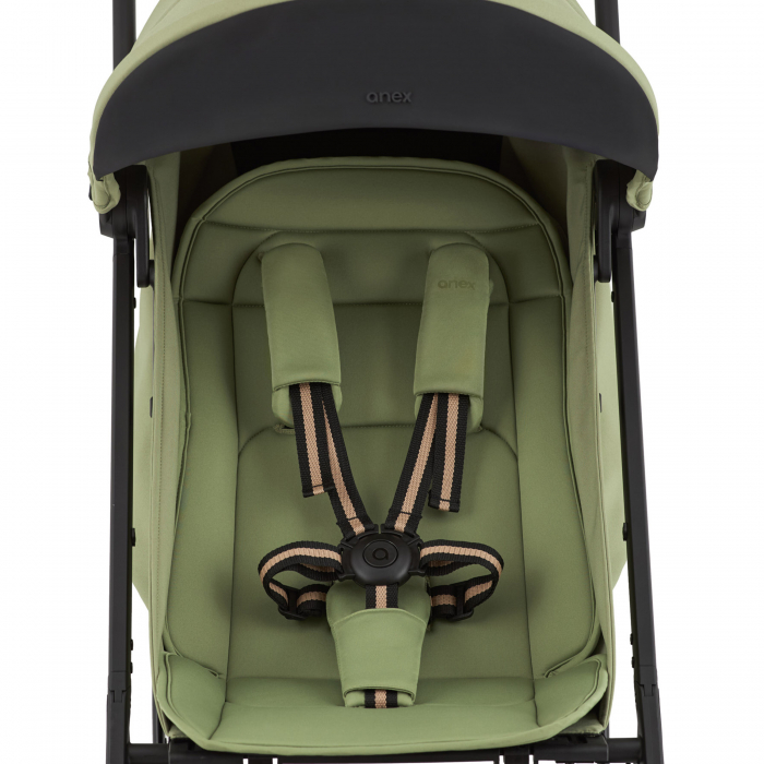 Cărucior multifuncțional Anex Air-X² - vert [6]