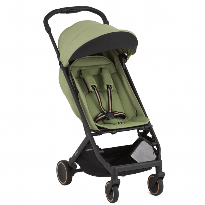 Cărucior multifuncțional Anex Air-X² - vert [1]