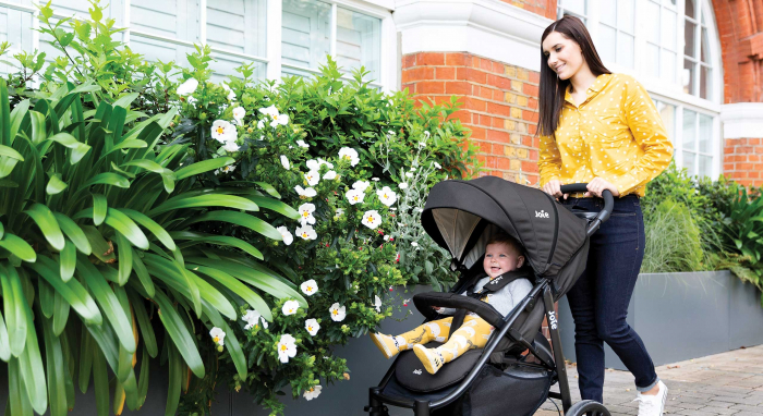 Carucior multifunctional Litetrax 4 DLX Coal [11]